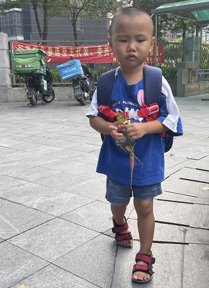 入园感想
